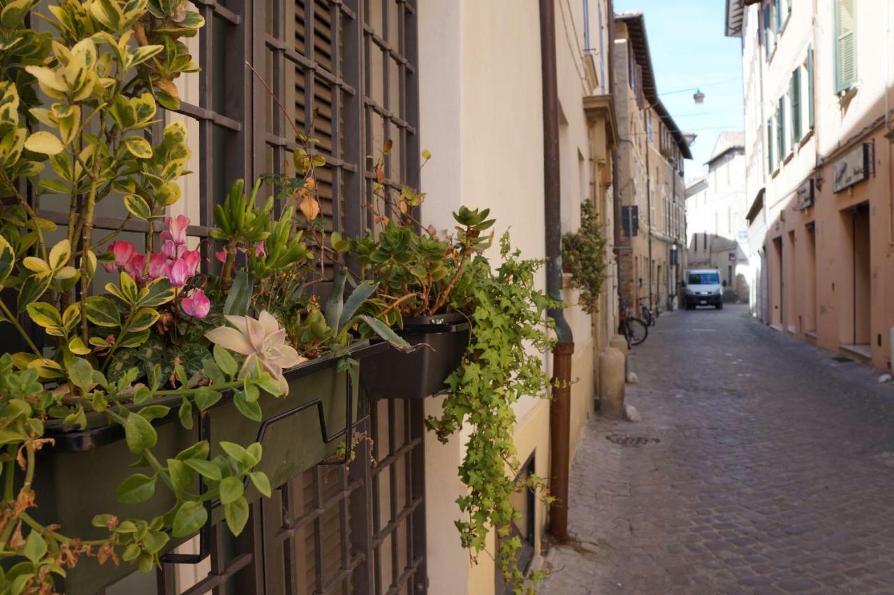 Bed and Breakfast Il Vicolo 48 Pesaro Zewnętrze zdjęcie